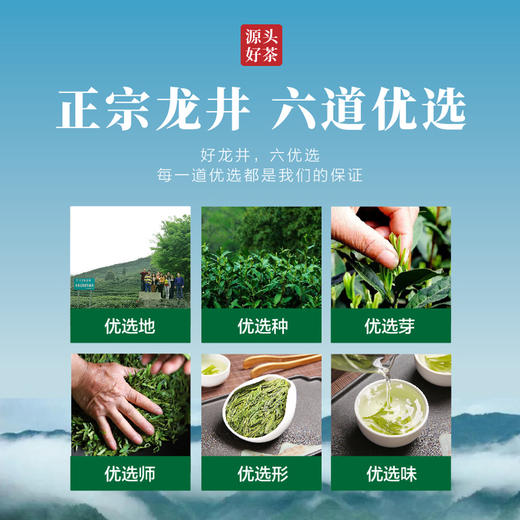 2026新茶 940老树龙井茶 百年老树 色翠香甜 浓醇顺滑 龙井中的口粮茶 商品图3