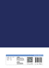 临床试验设计与统计分析（第2版） 2022年8月参考书 9787117333665 商品缩略图2