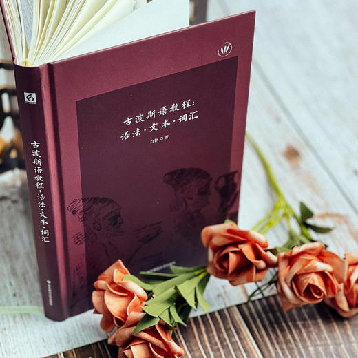 古波斯语教程 语法 文本 词汇  复旦语言专家白钢教授原创古波斯语系统教程 精装 商品图11