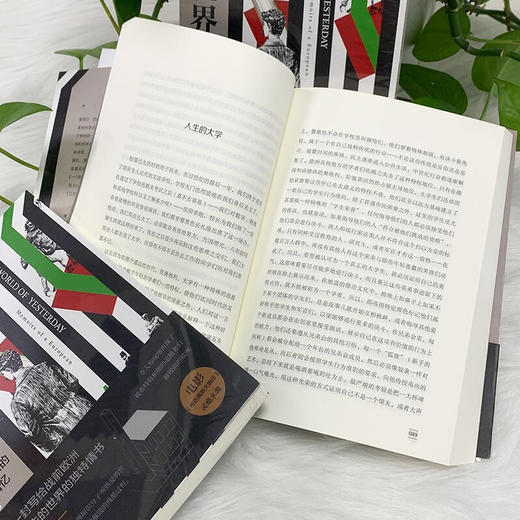 昨日世界 斯蒂芬·茨威格 著 文学 商品图3