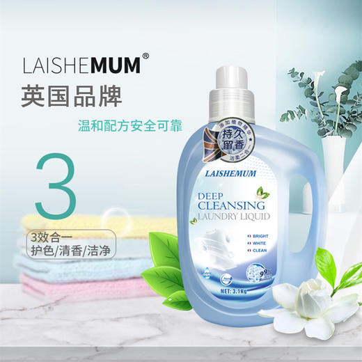 莱氏姆深层洁净洗衣液3.1kg 商品图2