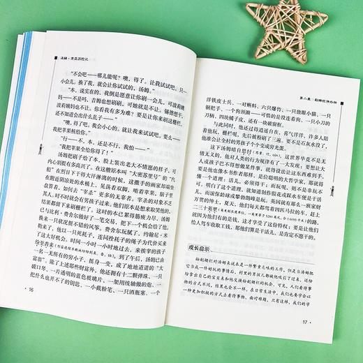 (仓发) 汤姆索亚历险记  快乐读书吧六年级下册推荐阅读 无障碍阅读 小学生课外推荐阅读书目 有习题/时代文艺出版社/[美]马克·吐温/9787538768190 商品图9