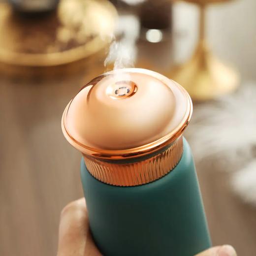 Westinghouse西屋便携电热水杯 300ml WSH-A326 商品图4