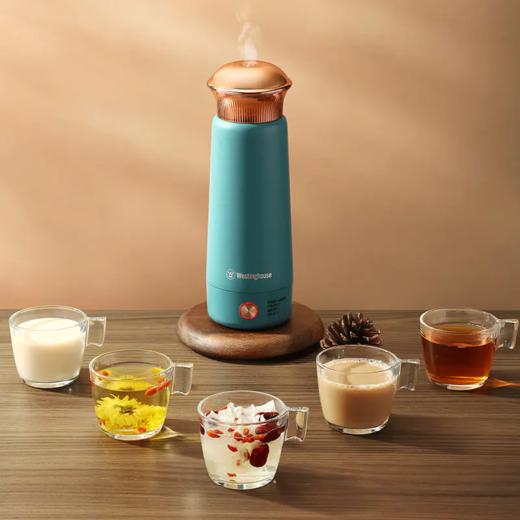 Westinghouse西屋便携电热水杯 300ml WSH-A326 商品图2