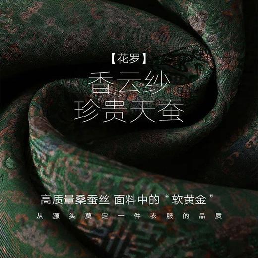 仿香云纱真丝高档连衣裙秋装女新款洋气旗袍桑蚕丝绿色裙子长裙过膝DP901 商品图6