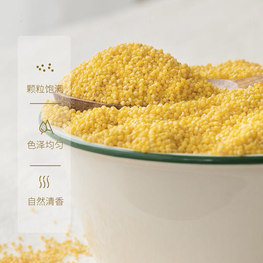 小米2斤*2【产地直发】@谦益 商品图5