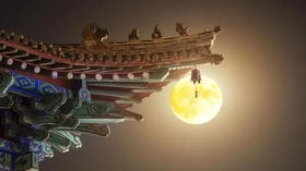 草木读书 | 花月夜·跨时空赏月大会