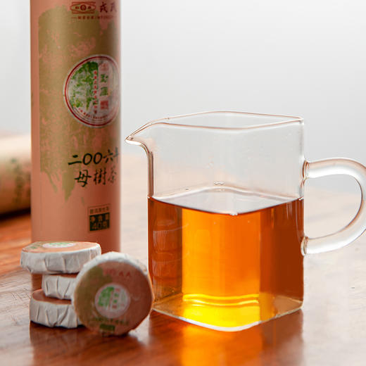 普洱生茶丨勐库戎氏 2006年 勐库母树茶（春母） 商品图4