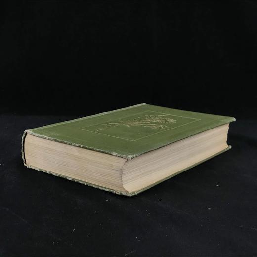 1911年 野外花朵图鉴 96幅彩色与245幅黑白木版画插图 漆布精装大32开 商品图1