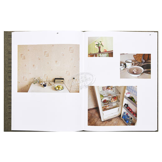 【中商原版】Stephen Shore: Survivors in Ukraine 进口艺术 斯蒂芬 肖尔：乌克兰幸存者 Phaidon 商品图4