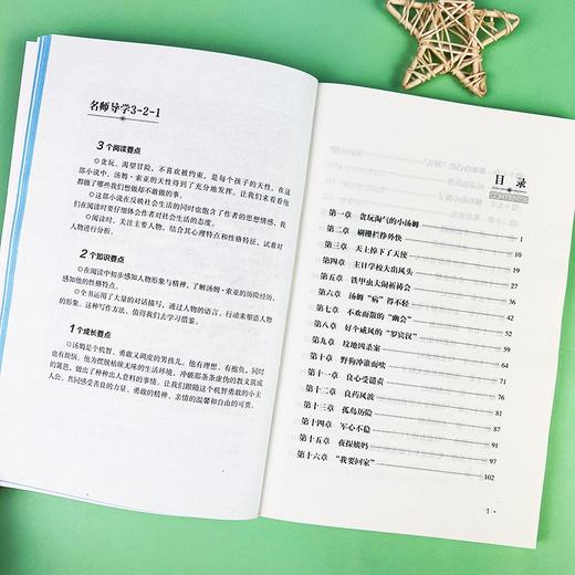 (仓发) 汤姆索亚历险记  快乐读书吧六年级下册推荐阅读 无障碍阅读 小学生课外推荐阅读书目 有习题/时代文艺出版社/[美]马克·吐温/9787538768190 商品图8