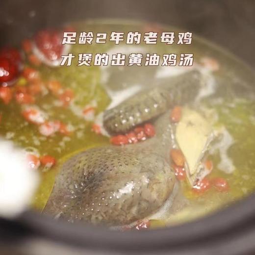 【精品五黑鸡母鸡山林散养两年以上】砂锅伴侣鸡汤清澈不浑浊口感紧实不柴（处理后每只净重1.75~2.1斤） 商品图2