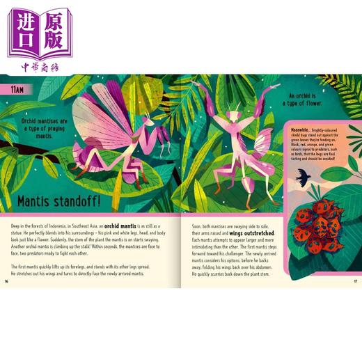 【中商原版】A Day in the Life Bugs 一天的小生活昆虫 英文原版儿童绘本 动物故事 Prabhat 商品图1