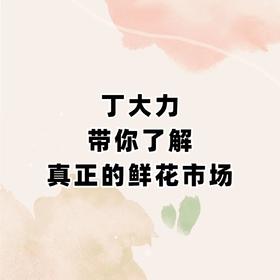 丁大力带你了解真正的鲜花市场