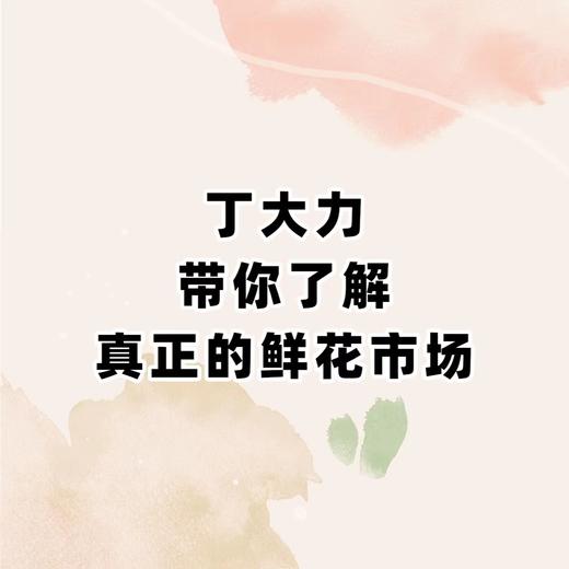 丁大力带你了解真正的鲜花市场 商品图0