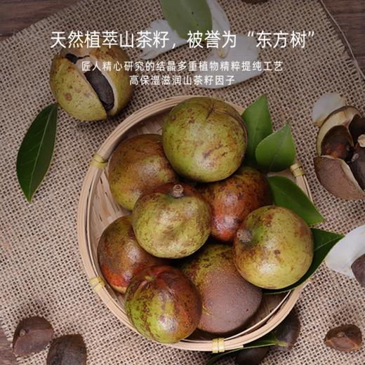 蓝桉叶机能面膜山茶籽滋养柔顺氨基酸洗发露 商品图2