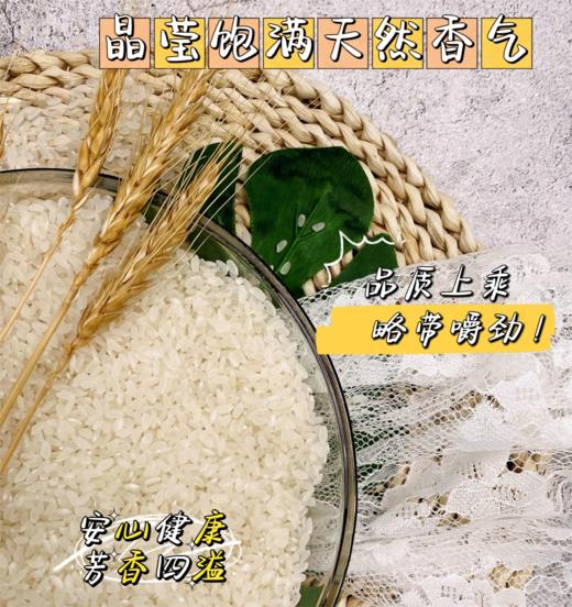 清乡粮府-长粒香米5KG（升级版2面新包装） 商品图5