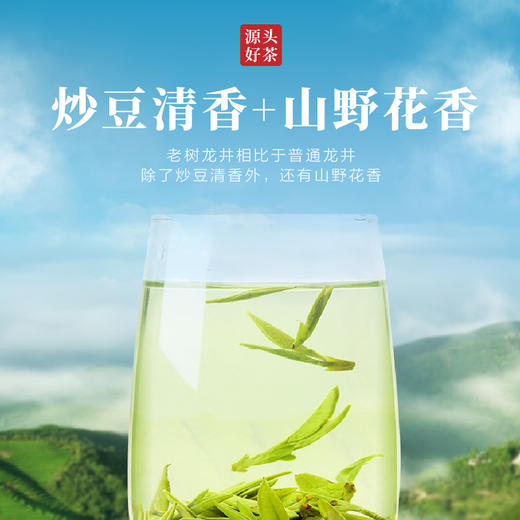 2026新茶 940老树龙井茶 百年老树 色翠香甜 浓醇顺滑 龙井中的口粮茶 商品图1