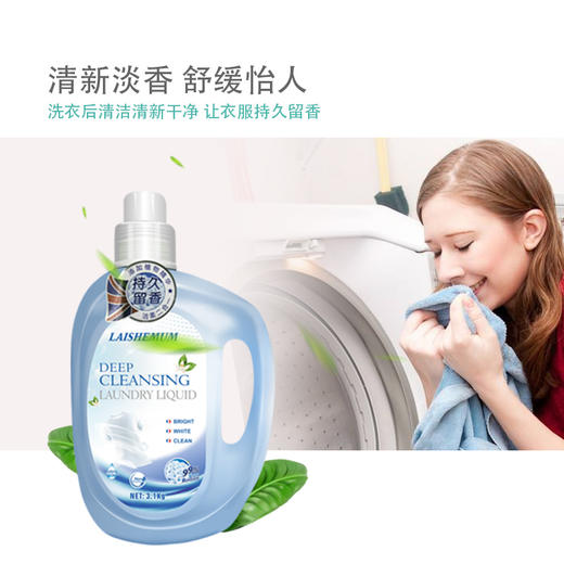 莱氏姆深层洁净洗衣液3.1kg 商品图0