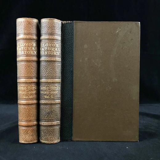 1896年 猎鸟手册（全2卷，真皮脊装） 42幅套色版画与大量黑白文间插图 真皮脊精装32开 商品图0
