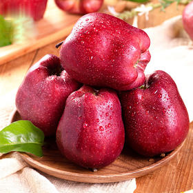 【 甘肃•天水花牛苹果】应季水果 可口好吃 鲜嫩多汁 苹果 蛇果 营养丰富 现摘现发 老少皆宜