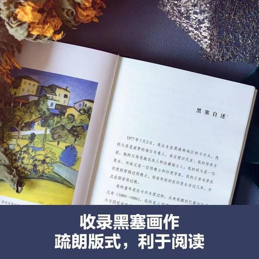 黑塞精选集全5册 商品图3