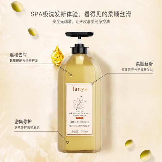 蓝桉叶机能面膜山茶籽滋养柔顺氨基酸洗发露 商品图1