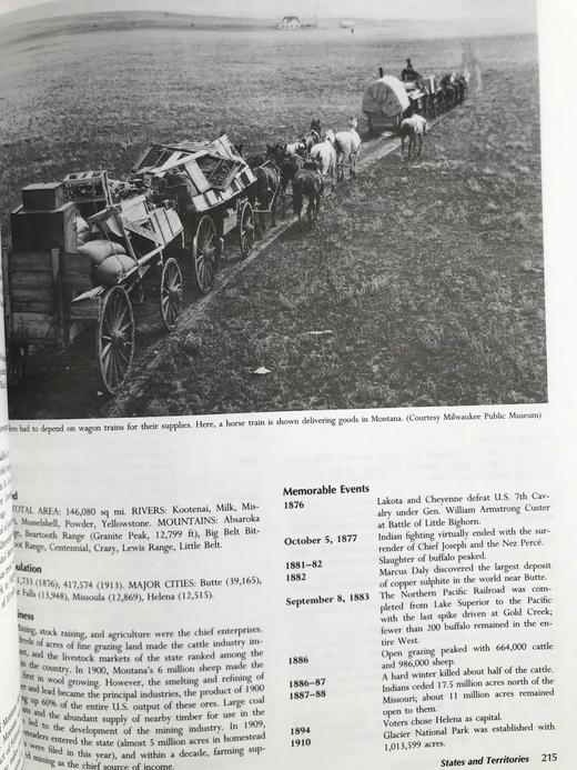 维多利亚时代的美国：1876-1913年 数百幅插图 精装16开 商品图10