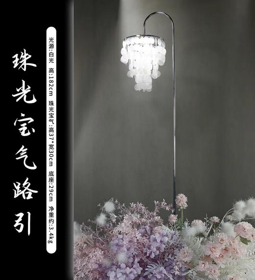 珠光宝气贝壳路引（运费自理） 商品图2