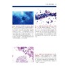 肺细胞与组织病理学图谱 商品缩略图2