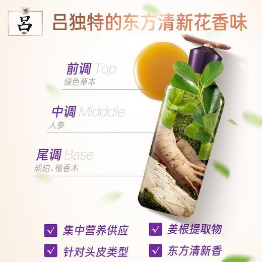 吕 滋养韧发密集强韧特惠装400ml洗发水+400ml护发素 【紫吕套盒】 商品图4