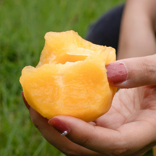 云南石林人参果    水果中的“灌汤包” 清香多汁  皮薄肉厚  水嫩多汁  清甜可口   富含多种微量元素 清甜解渴 商品图5