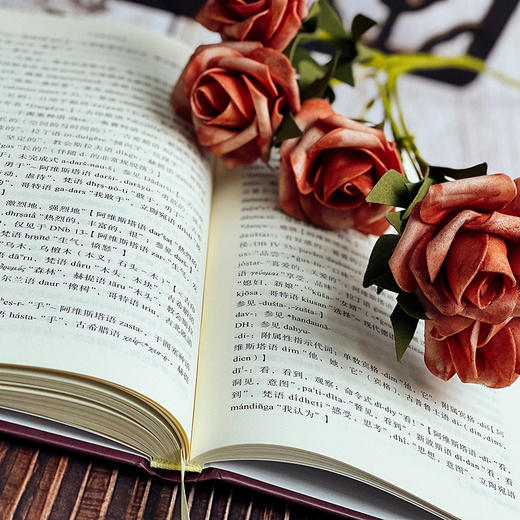 古波斯语教程 语法 文本 词汇  复旦语言专家白钢教授原创古波斯语系统教程 精装 商品图10