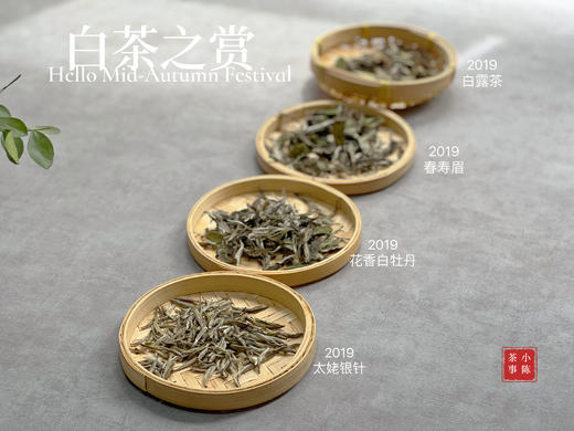 【白茶之赏】小陈茶事特供礼盒装，喝懂三年陈太姥白茶的白茶组合 商品图8