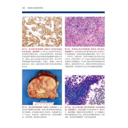 肺细胞与组织病理学图谱 商品图1