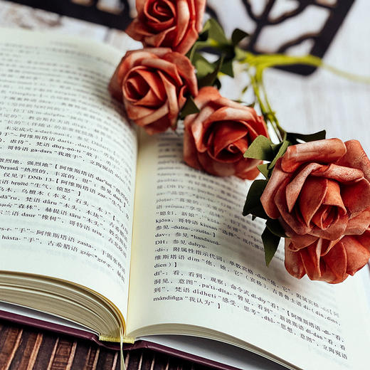 古波斯语教程 语法 文本 词汇  复旦语言专家白钢教授原创古波斯语系统教程 精装 商品图9