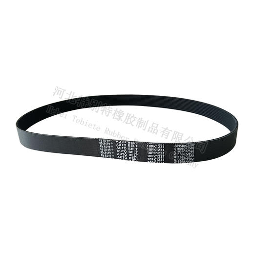 特别特10pk1231皮带 天龙康明斯470国六天然气（配8pk1282）（101231） 商品图0