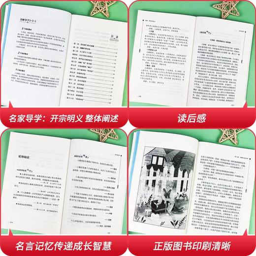 (仓发) 汤姆索亚历险记  快乐读书吧六年级下册推荐阅读 无障碍阅读 小学生课外推荐阅读书目 有习题/时代文艺出版社/[美]马克·吐温/9787538768190 商品图2