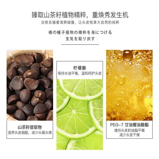 蓝桉叶机能面膜山茶籽滋养柔顺氨基酸洗发露 商品图3