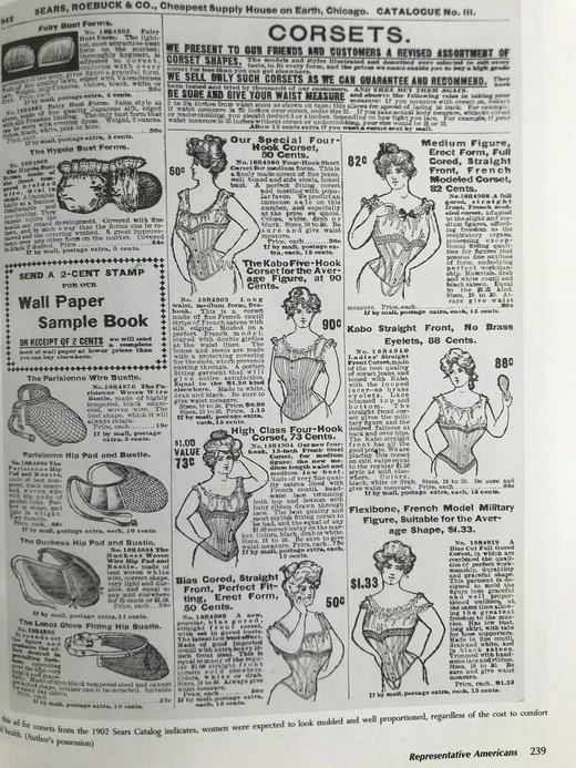 维多利亚时代的美国：1876-1913年 数百幅插图 精装16开 商品图9