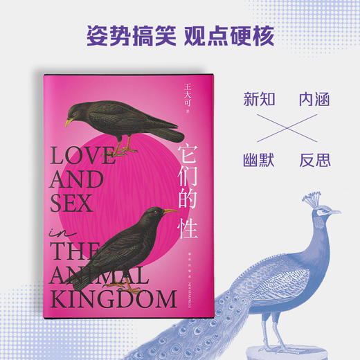 它们的性 王大可 著 带你去看动物妙趣横生的性与爱 物种起源有趣的科普进化论 动物世界雌雄爱情强弱关系情爱丛林法则 科普读物 商品图1