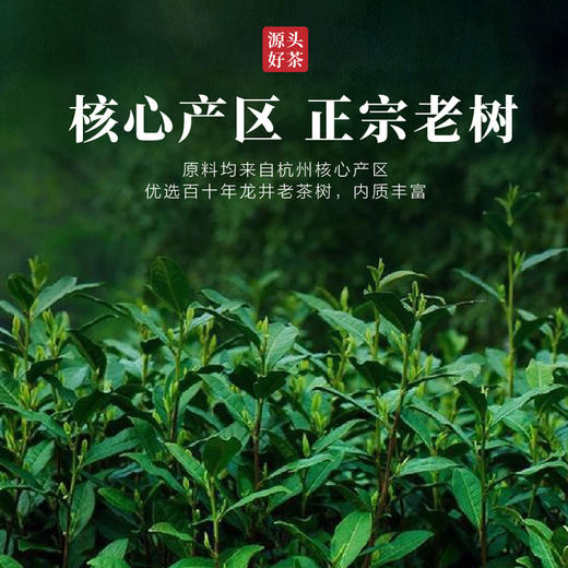 2026新茶 940老树龙井茶 百年老树 色翠香甜 浓醇顺滑 龙井中的口粮茶 商品图2