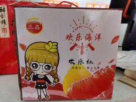 欢乐海洋红心柚一箱4个装