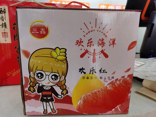 欢乐海洋红心柚一箱4个装 商品图0