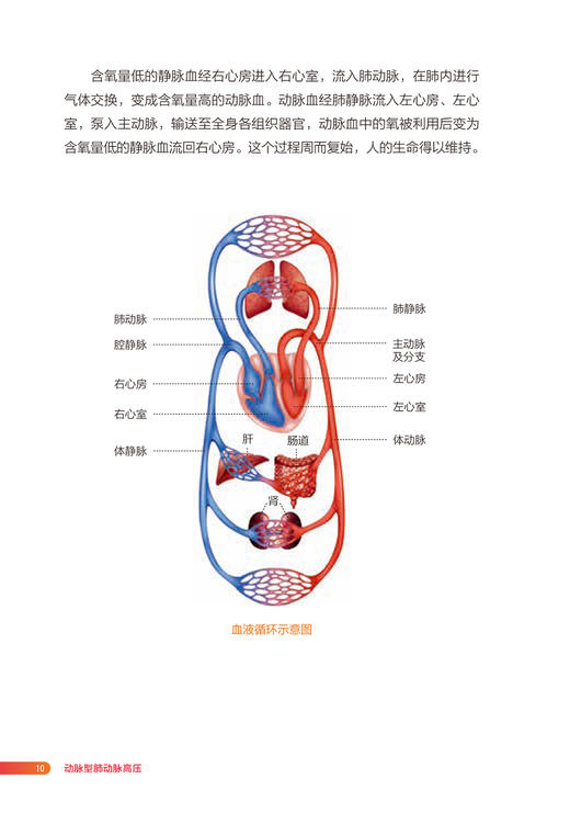 动脉型肺动脉高压 右心与肺血管病患者健康管理丛书 动脉型肺动脉高压不良后果诊治策略 罗勤 奚群英 人民卫生出版社9787117333702 商品图4