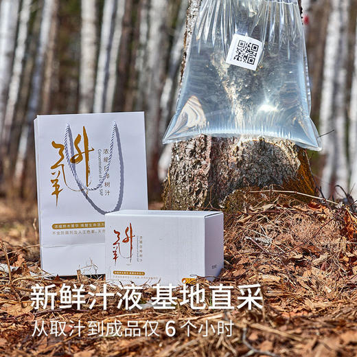 嘉桦浓缩白桦树汁，来自大自然馈赠 商品图3