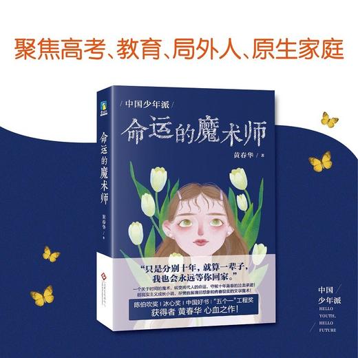 (仓发) 中国少年派：命运的魔术师/文化发展出版社/黄春华/9787514231199 商品图2