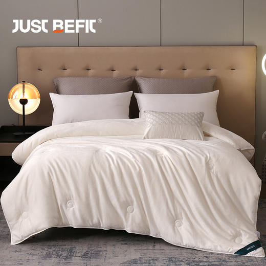 【品牌直发】加倍生活 臻选桑蚕丝被 全棉60s面料 提花工艺 商品图1