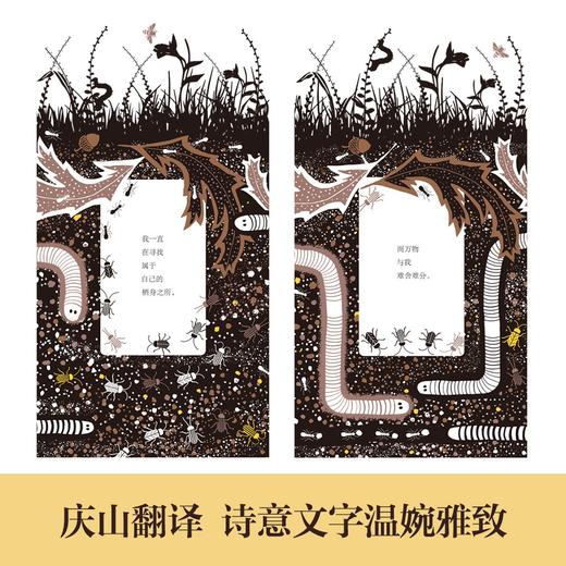 (仓发) 蚯蚓与鸟 乐乐趣 6岁+ 儿童绘本故事书  体悟生活 于大千世界发现美好/未来出版社/[英]科拉莉·比克福德-史密斯/9787541771156 商品图3