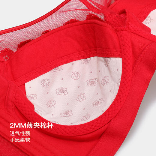 美季美优J窗花漏影大红色文胸W259C02 商品图3